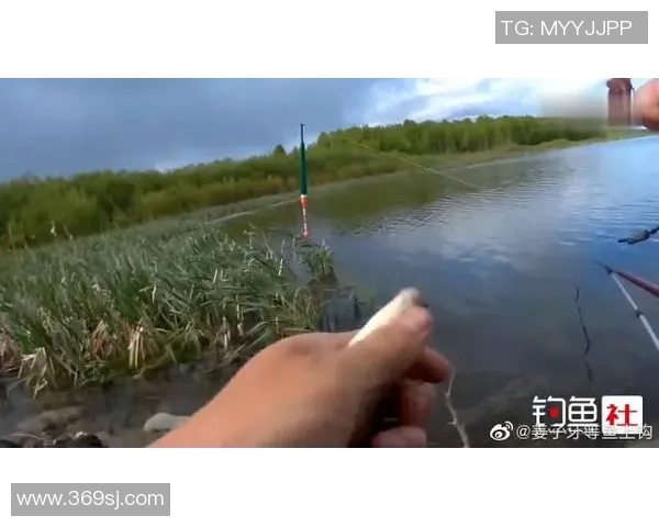 南京羽毛球队边路渗透打法的深度分析与战术解读