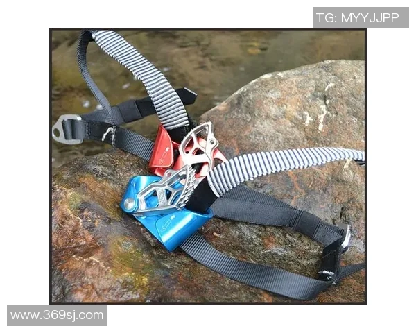 成都攀岩队在极限运动世界杯中的团队协作表现分析与点评