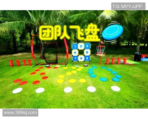 飞盘战术解析:上海飞盘队高效转换体系的深度剖析与应用探讨 飞盘战术解析:上海飞盘队高效转换体系的深度剖析与应用探讨